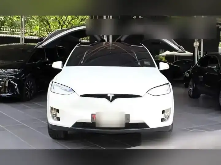 Tesla Model X Long Range รูปที่ 2