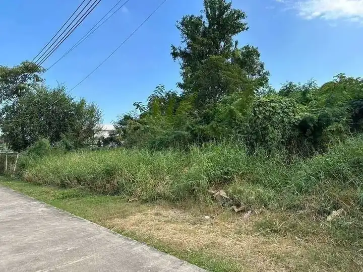 ที่ดิน หมู่บ้านเอื้อสุข พัฒนาการ 58 (ซอย 8) รูปที่ 5